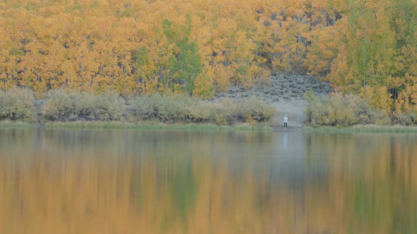 A person stands on the shore of a lake near a forest with trees with leaves turning colors