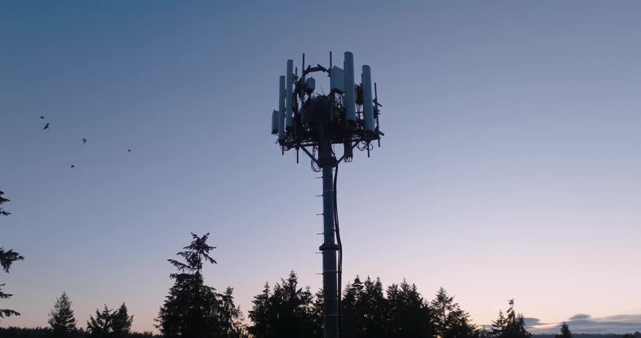 A 5G network tower works along a tree lined hillside as a flock of birds fly out of frame