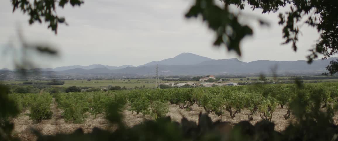 Landscape of an arid area with sparse vegetation and mountains in the background