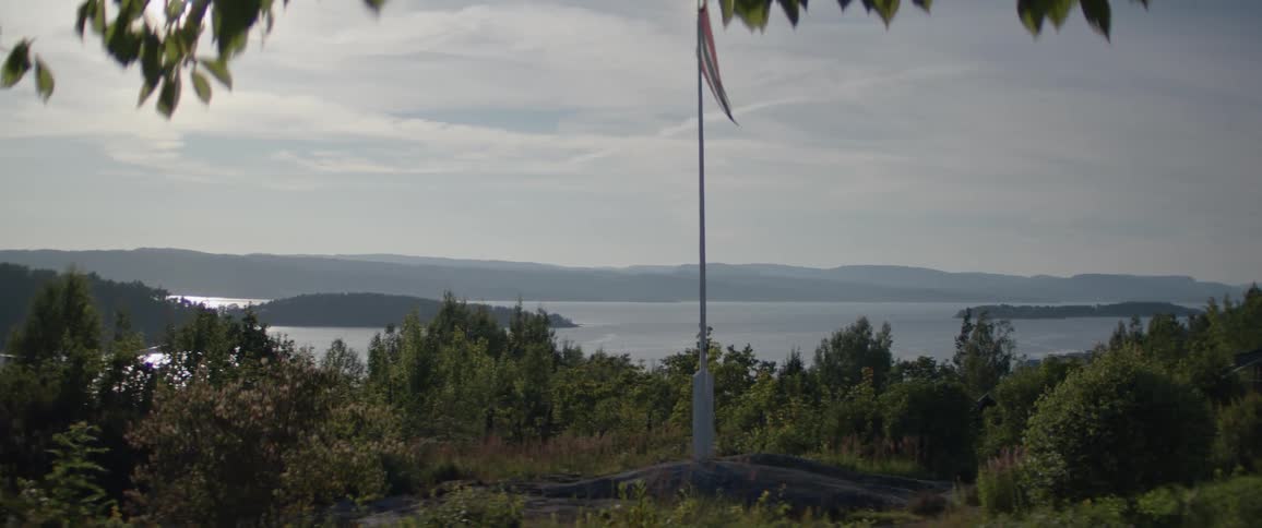 An Norwegian flag on a pole in the middle of a very vegetated area and in the background there is fjord