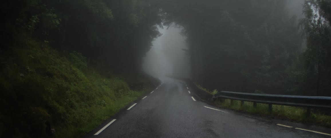 A clip of a freeway path in the forest