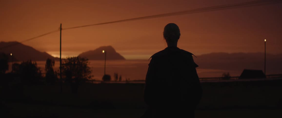 A person stands on a coast and stares out to a bay and island