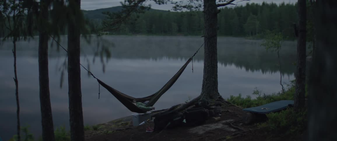 A child is swinging in a hammock that is stuck between two trees in front of a huge lake
