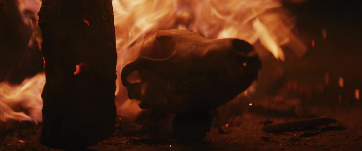 Skull of an animal on a bonfire at night