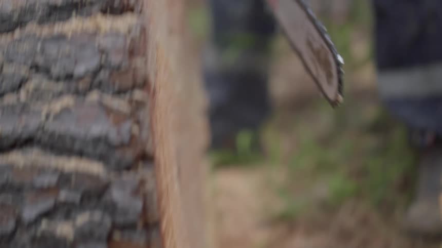 A clip of a man cutting down a tree in the forest