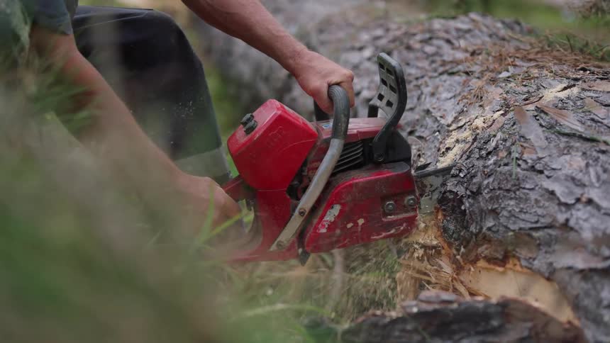 A close up shot of a chainsaw cutting through a log sawdust flying in the air