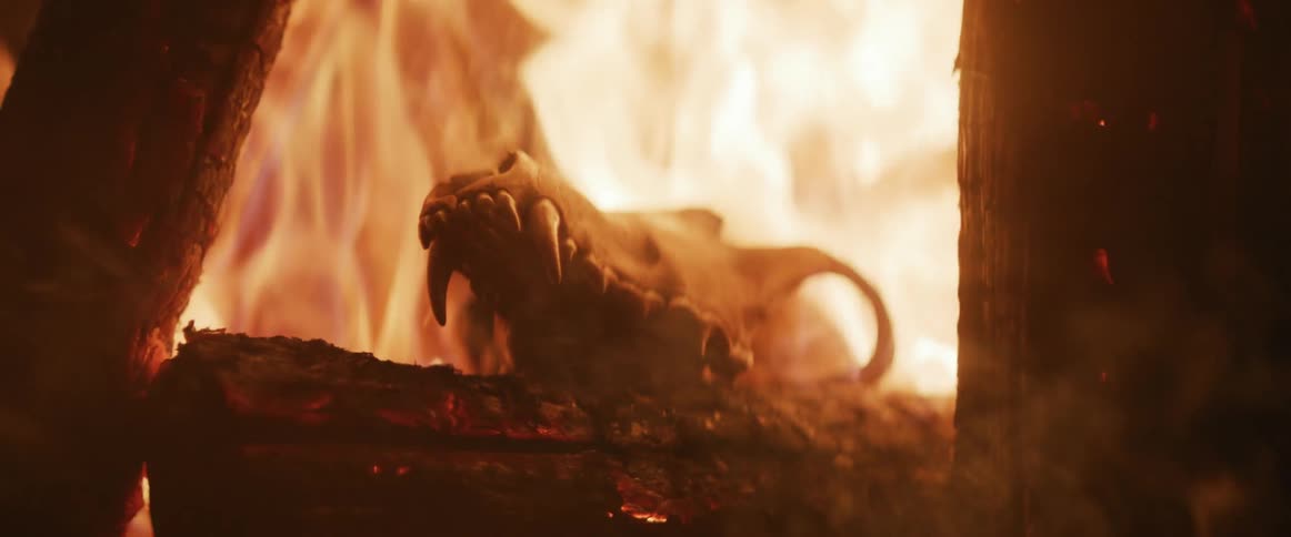 An animal skull with sharp teeth partially engulfed in flames