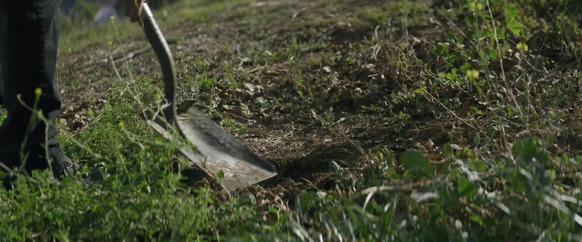 Person with a shovel removing soil from a vegetated area