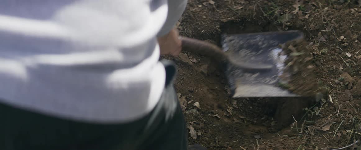 A persons hand swings a shovel into the ground digging a hole