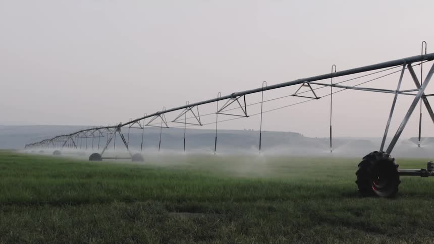 Modern agricultural irrigation system with a metal structure that supports sprinklers watering a vast plantation