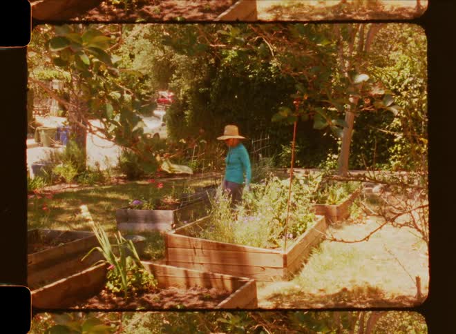 Person wearing a hat walking through a garden