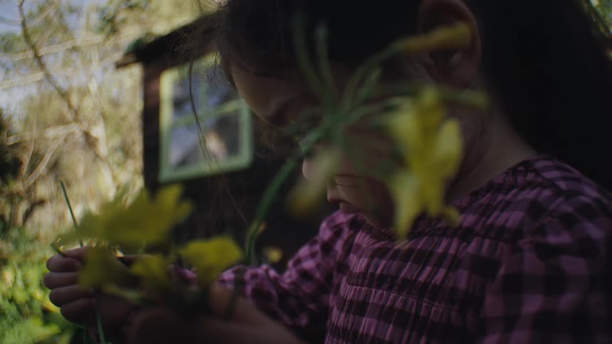 A young girl picks daffodils in her yard on a spring day