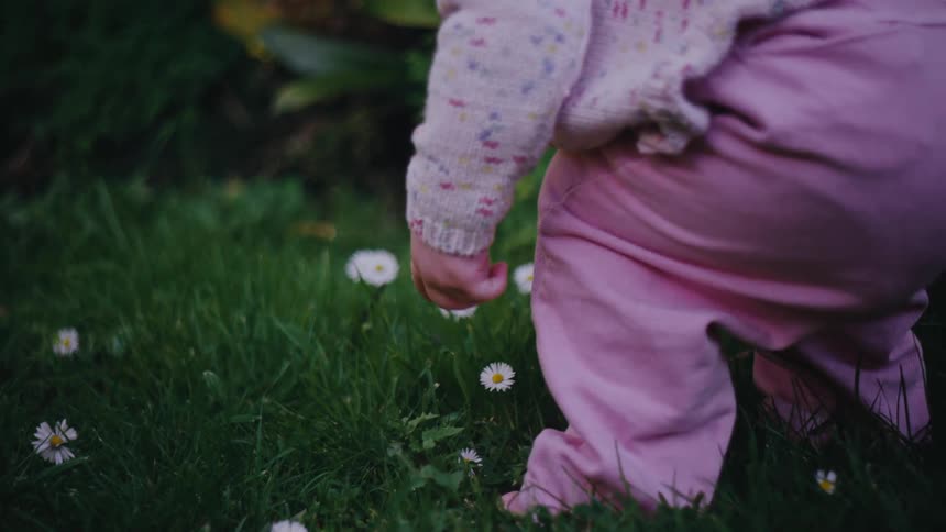 Little child on grass with daisy flowers