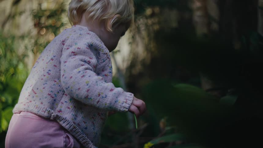 A young child with blonde hair tied in a small ponytail playing with plants in the backyard