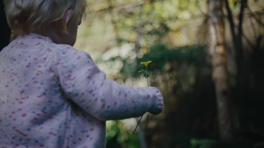 Little child in a garden holding a yellow flower