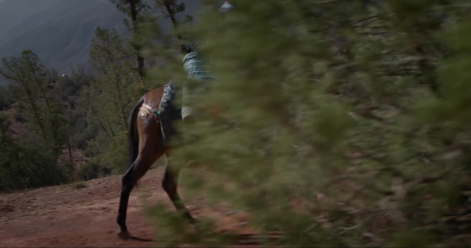 Two men riding two white and brown horses through a rocky desert landscape with trees and shrubs scattered throughout