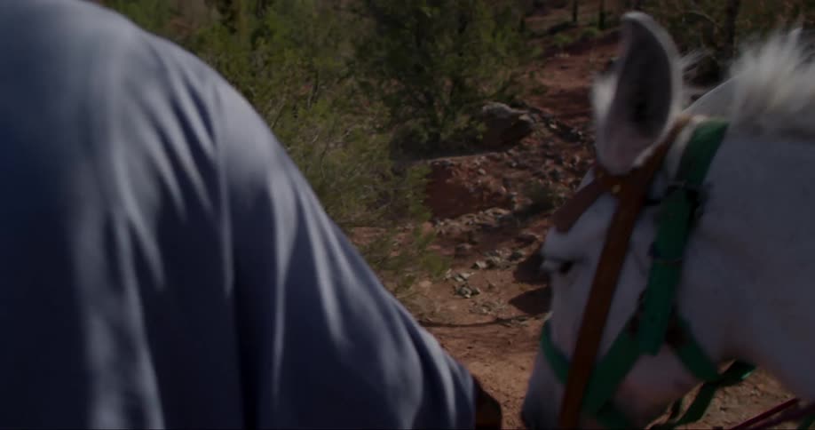 A clip of a person walking a white horse