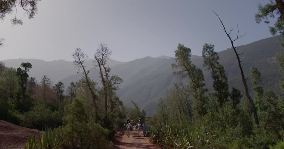 A clip of people traveling through the bush path on horses