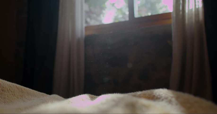 Dust motes float over a blanket in a bedroom
