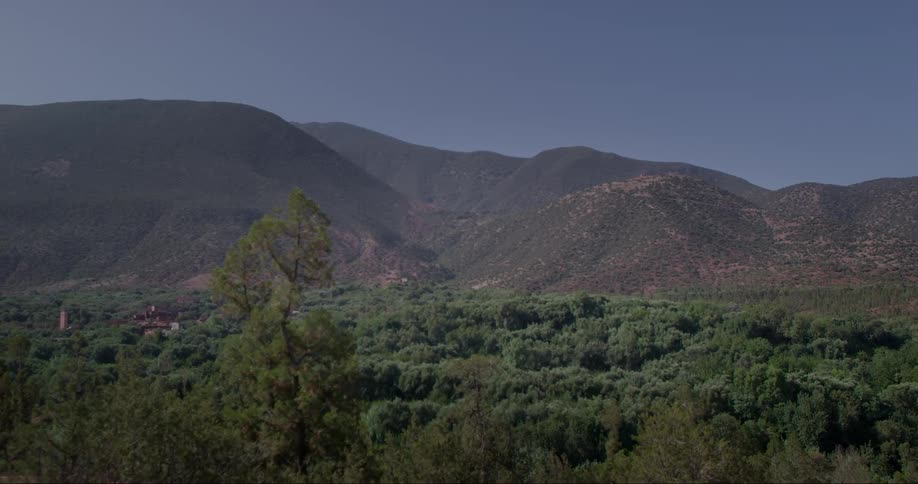 Taller buildings tower over their surroundings in the wild area near the mountains