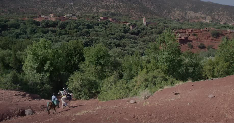 Three people ride horses near a forested area close to a small rural community