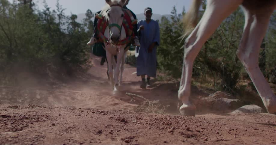 People riding horses in an arid region with sparse vegetation