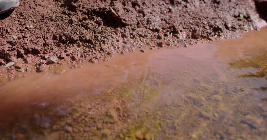 Hand collecting water from a river