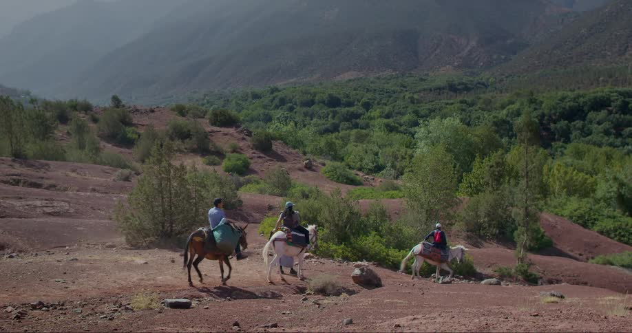 Travelers riding horses on a hill surrounded by greenery in daylight