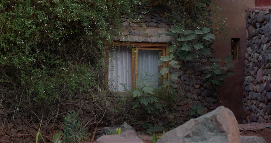 A back view of a house covered in flowers