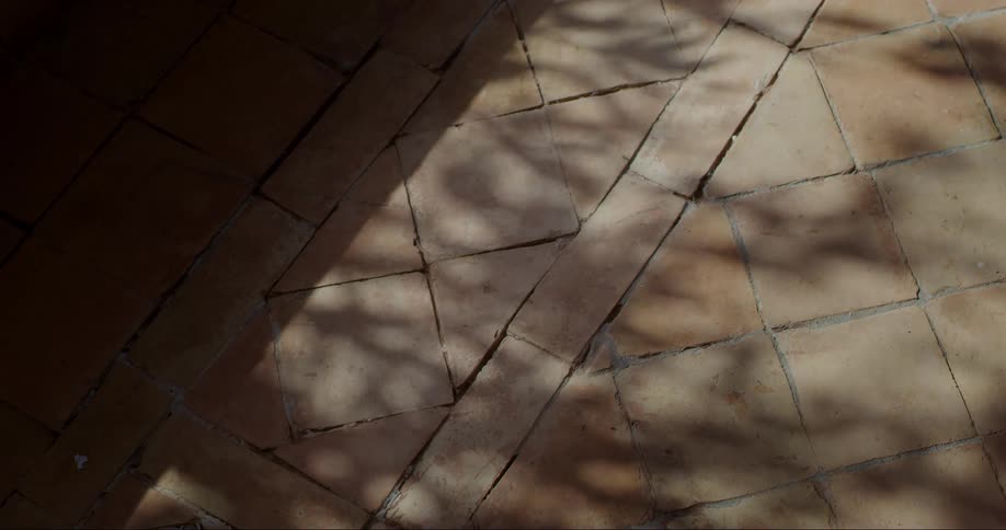 Shadow of moving tree leaves seen on the ground