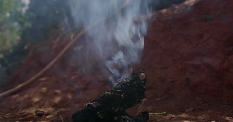 Burnt wood trunk emitting smoke in the middle of nature