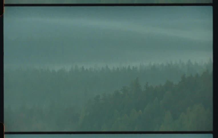 A misty panoramic view of a dense forest with soft light blue skies overhead