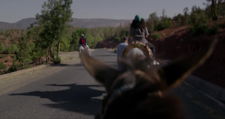 Point of view of people riding horses on a road surrounded by mountains and greenery