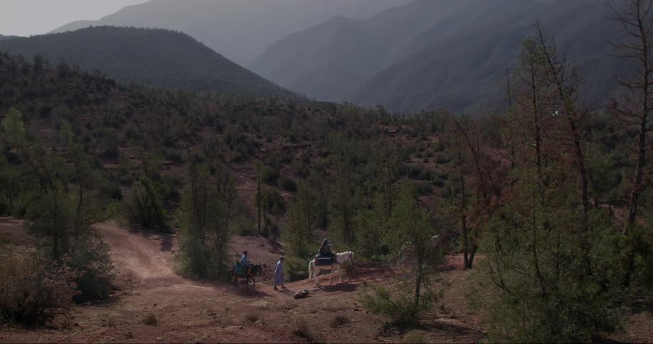 A group of people walk and ride horses over a path through a sparse forest near mountain ranges