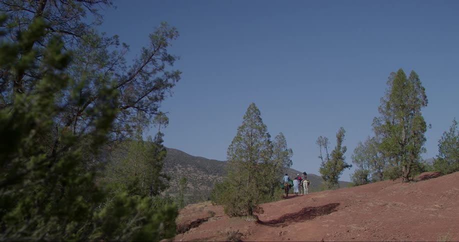 Group of people on a trail riding horses in a natural mountainous environment with trees and clear sky