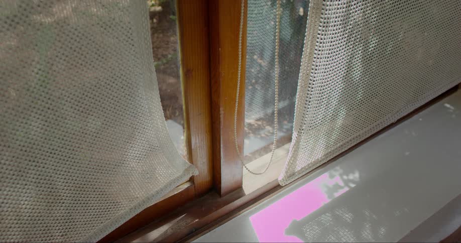 Interior design of a window with a white shutter and reflection of trees