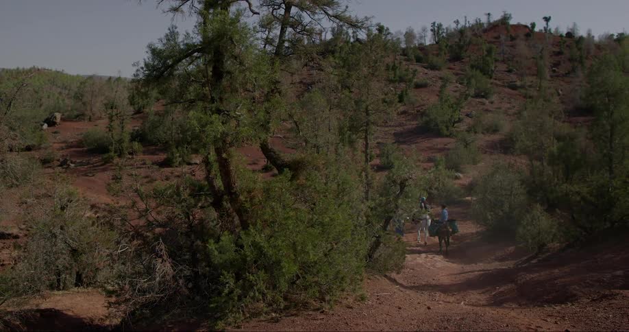 People ride pack laden animals along a path through arid terrain during the daytime