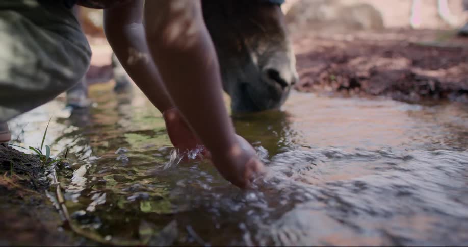 A close up clip of a horse drinking from a stream