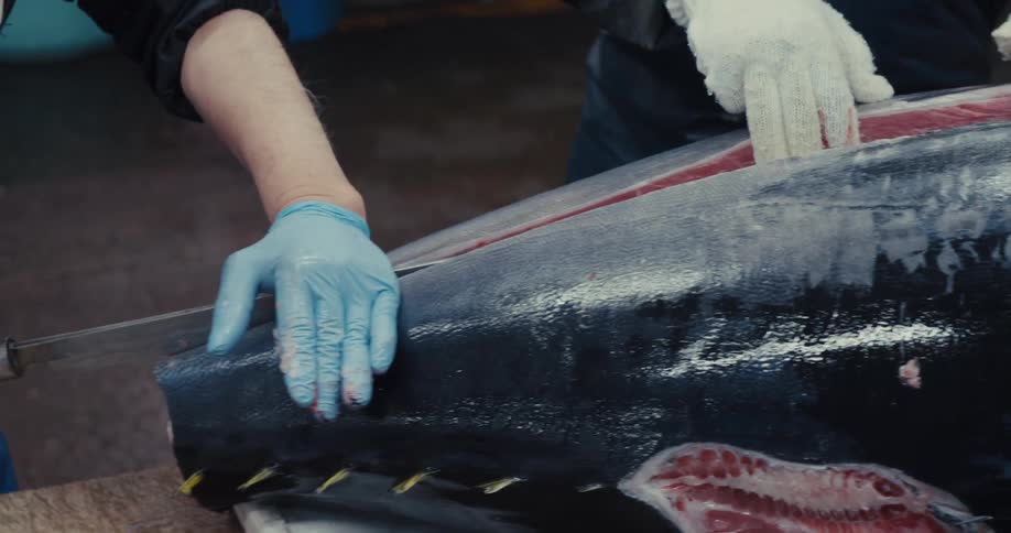 Two people with gloves and a knife cutting a fresh tuna