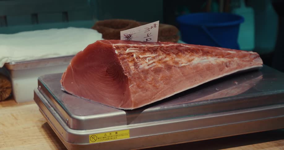 Large piece of fish is weighted on a metal scale