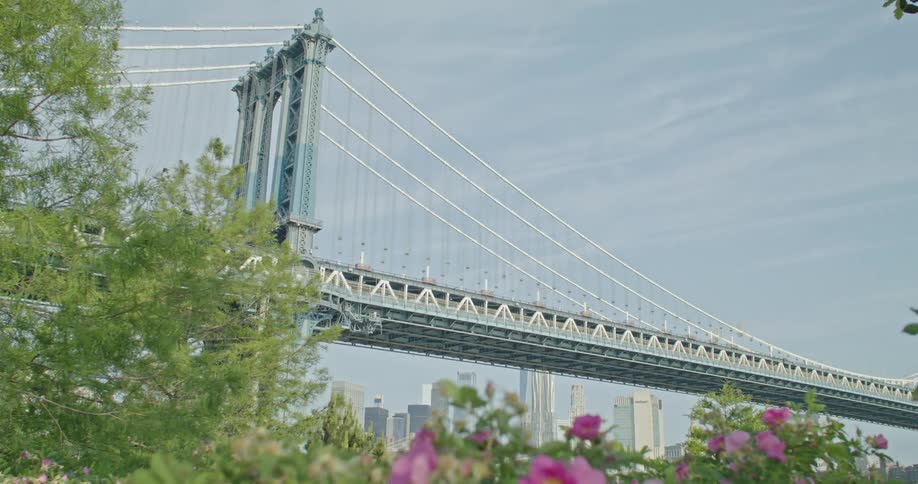 Plants and flowers in the foreground and in the background a large bridge with skyscrapers in New York