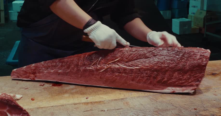 A clip of a person processing a fish
