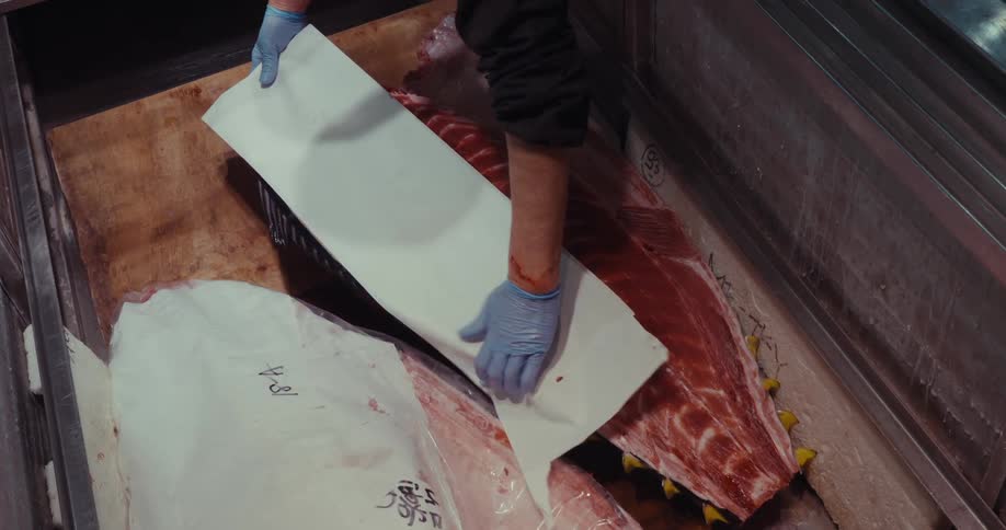 A close up clip of fish processing
