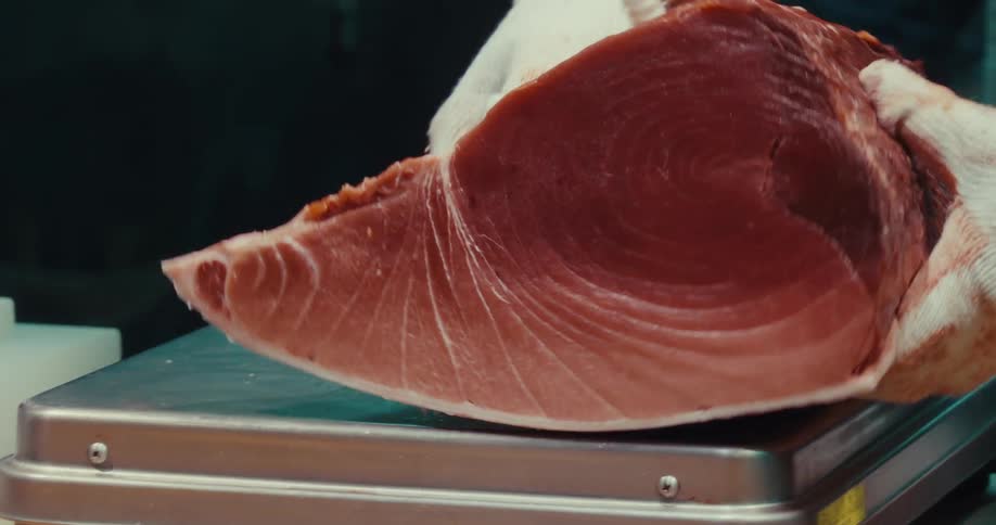 Gloved hands weighing a slice of fresh tuna