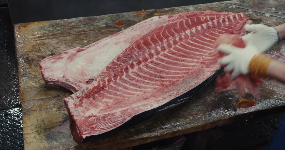A large tuna fillet being prepared for cutting with the red meat exposed and the bones visible