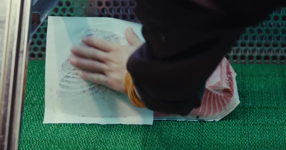 Gloved hand placing a white paper on a fresh cut tuna