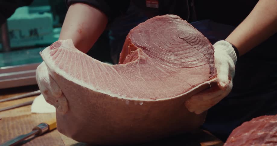 A person wearing gloves is handling a large raw tuna steak
