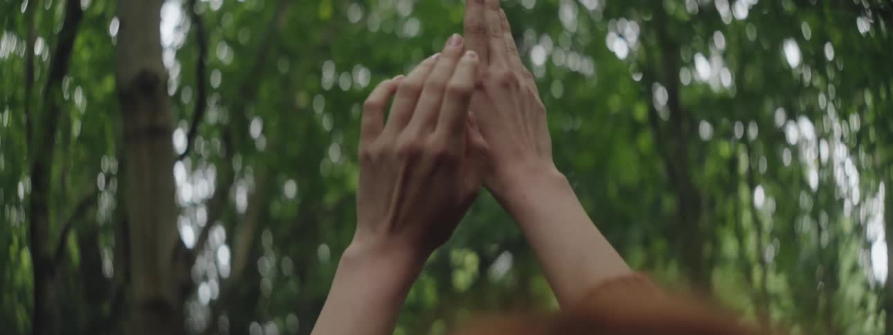 Womans hands pointing upwards against a background of trees