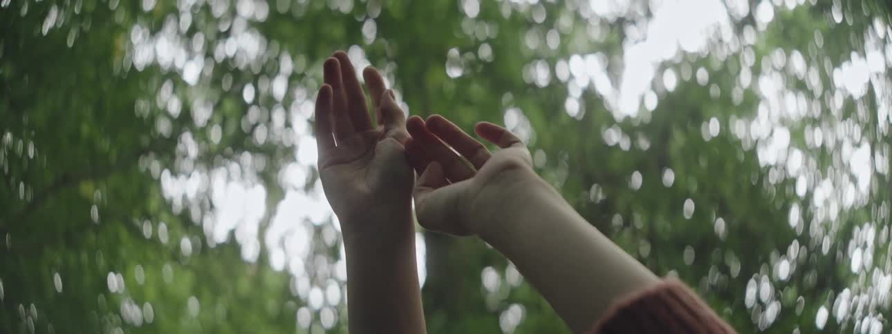 Hands up against a background of leaves of a tree