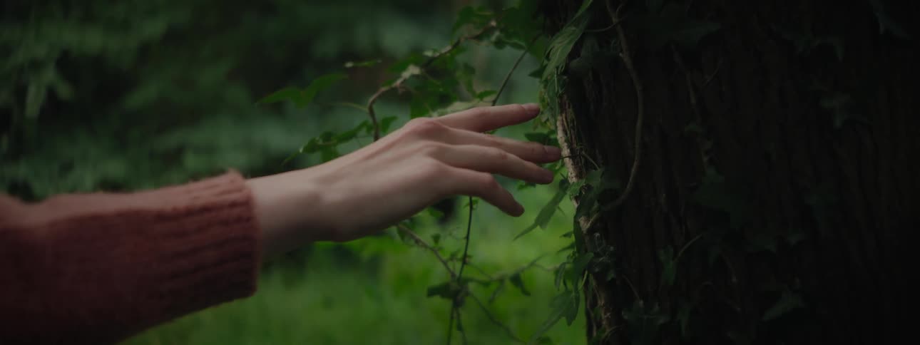 Closeup of a hand sliding down a tree trunk fingertips touching vine leaves